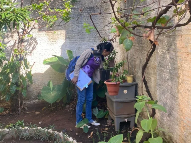 Canaã supera capitais