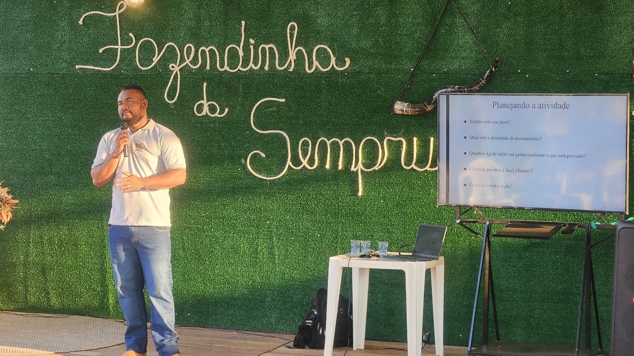 Desenvolvimento