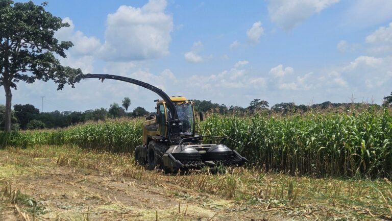 Para alavancar a produção: Prefeitura de Canaã investe em máquinas agrícolas para produtores rurais