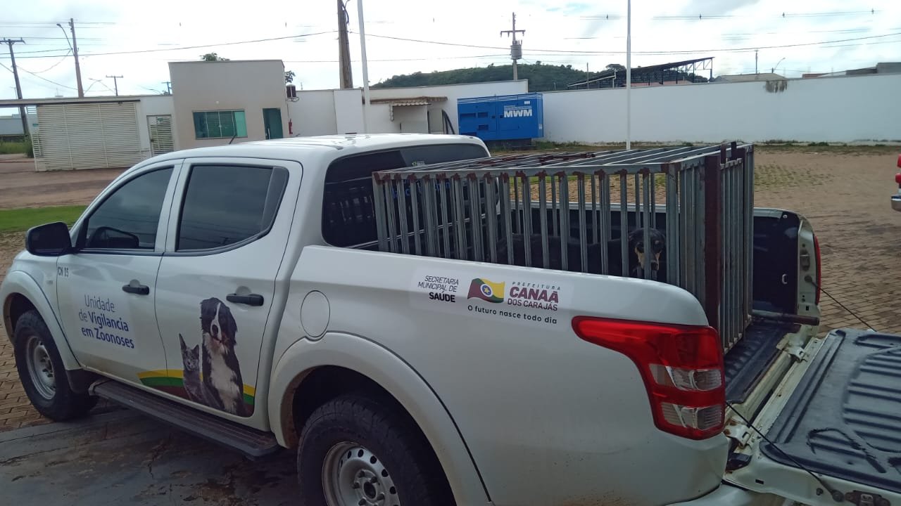 Na manhã desta sexta-feira (20), uma equipe do Centro de Zoonoses esteve na Avenida Weyne Cavalcante e realizou a captura do animal errante