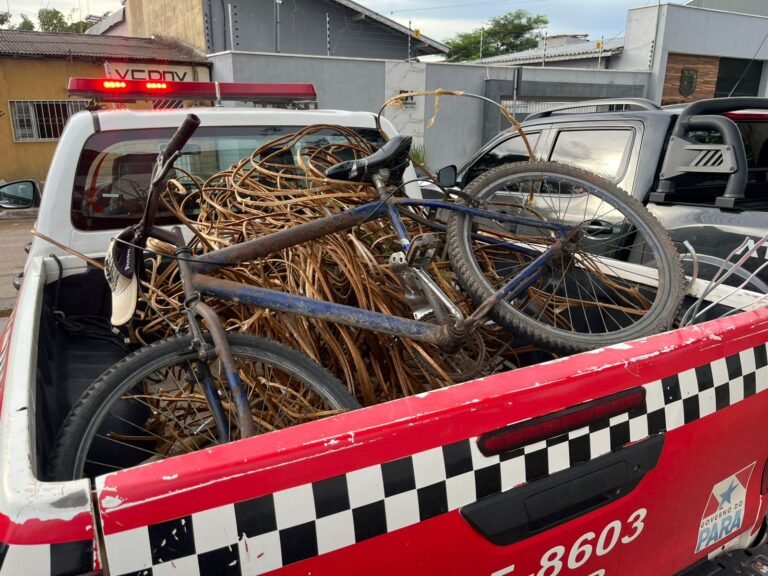 Furto e fraude de energia