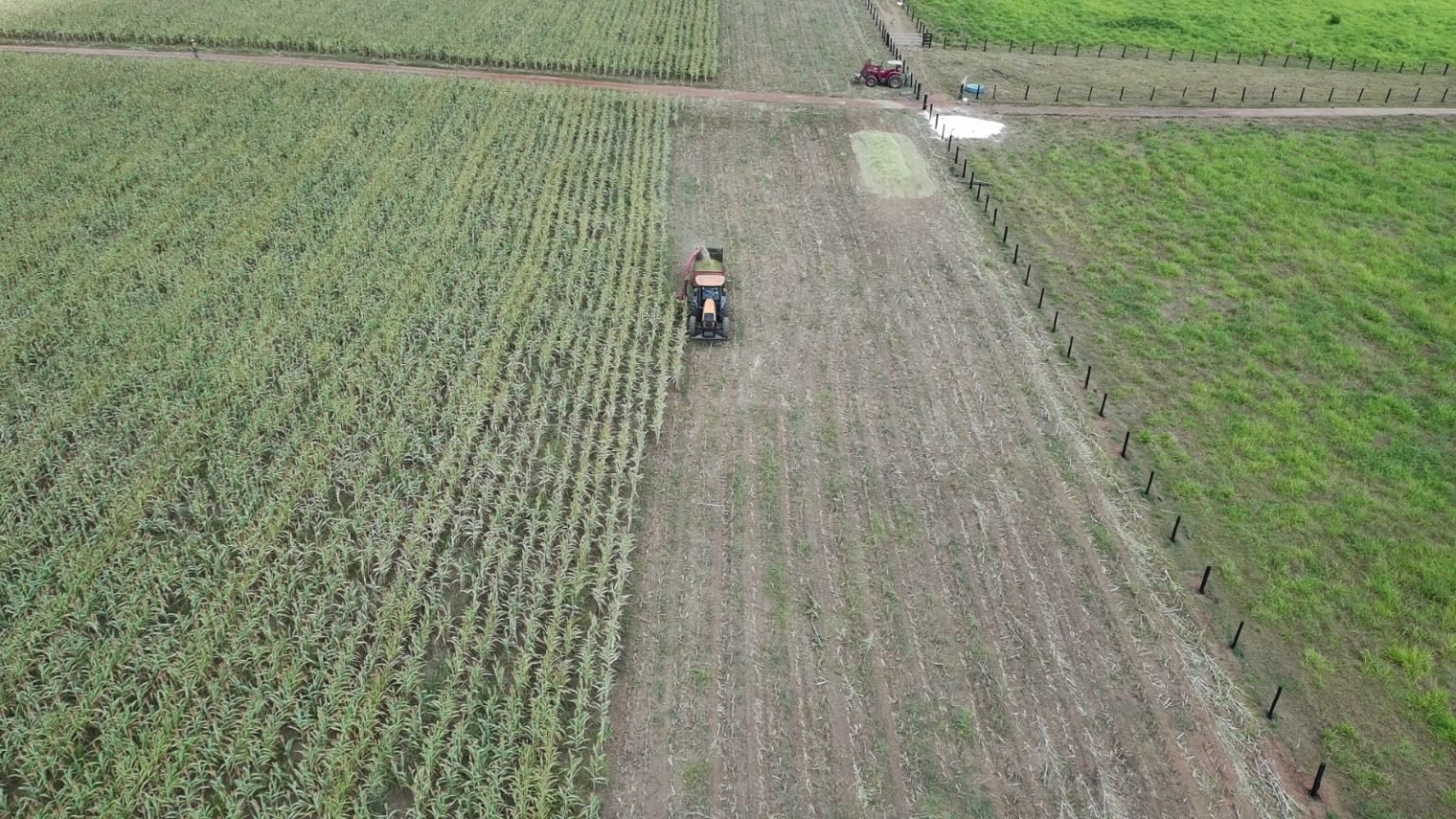 Edital do Procampo é publicado nesta segunda-feira (06) com mais de 300 vagas