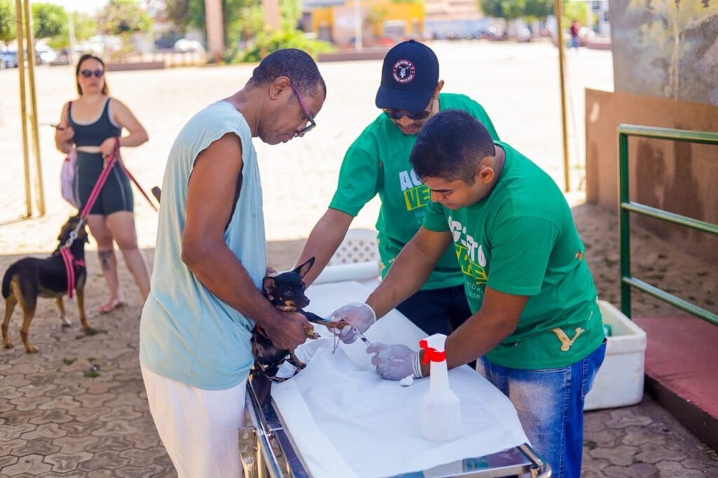 Famílias levam pets para testagem de leishmaniose em ação da Prefeitura de Canaã